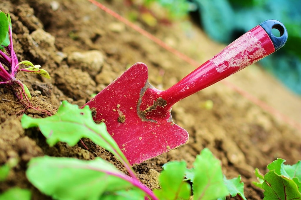 Les outils indispensables pour un jardinage efficace 